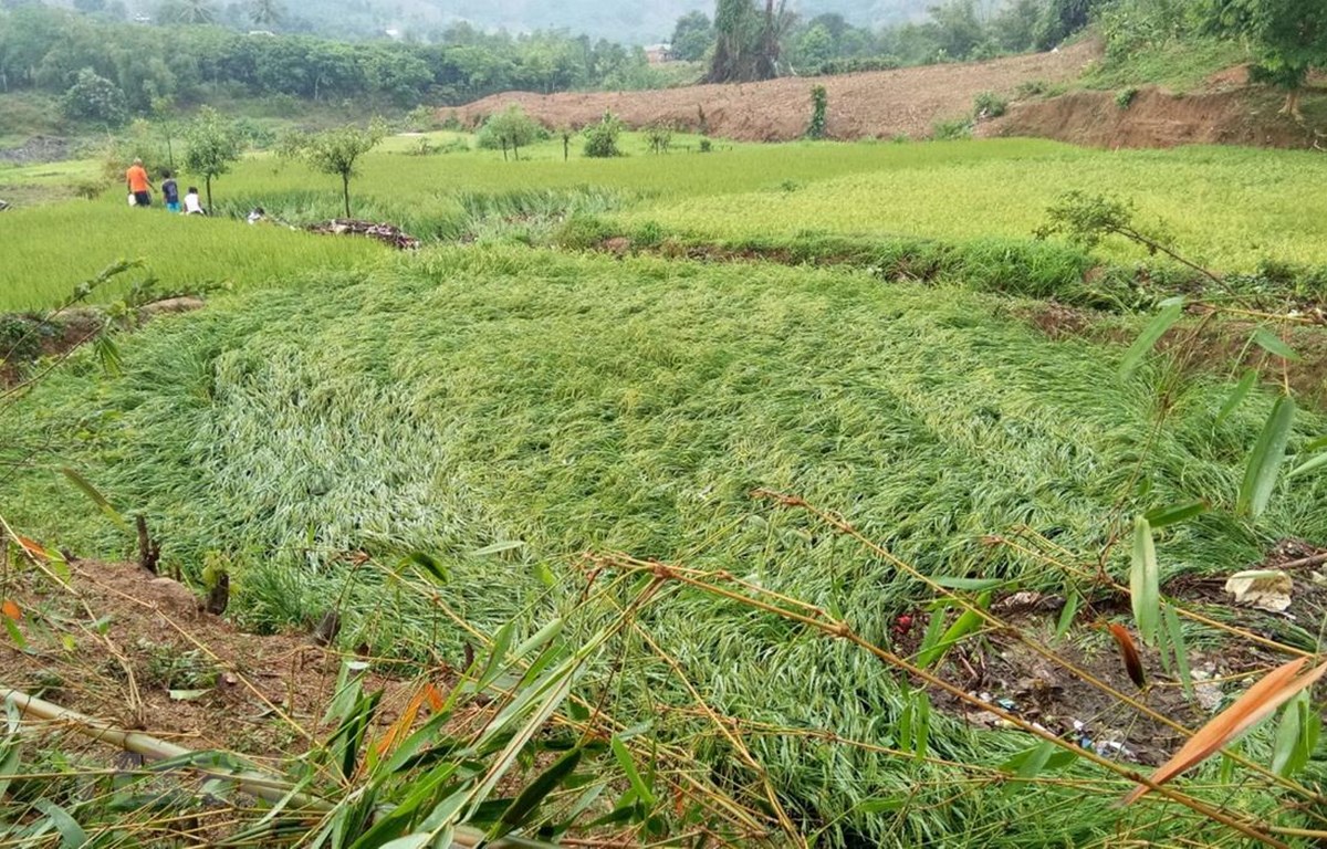 ỨNG PHÓ GIÔNG LỐC, SÉT, MƯA ĐÁ